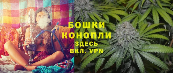 гашик Горно-Алтайск