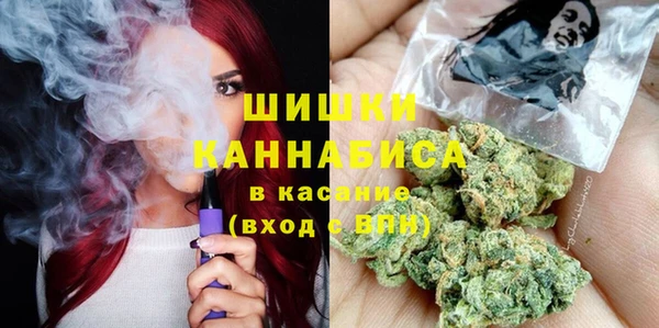 стаф Долгопрудный