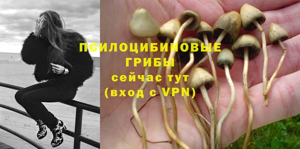 гашик Горно-Алтайск